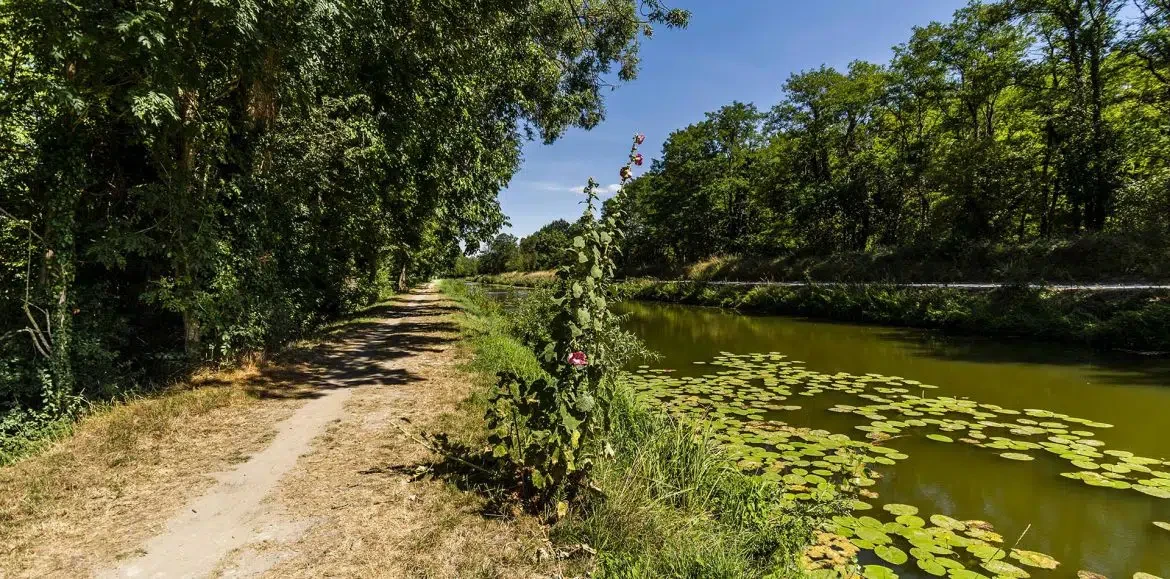orleans-metropole.rec.faire-savoir.com-itineraires-pedestres-a-orleans-et-autour-balade-a-pied-autour-dorleans.jpg orleans-metropole.rec.faire-savoir.com-itineraires-pedestres-a-orleans-et-autour-balade-a-pied-autour-dorleans.jpg