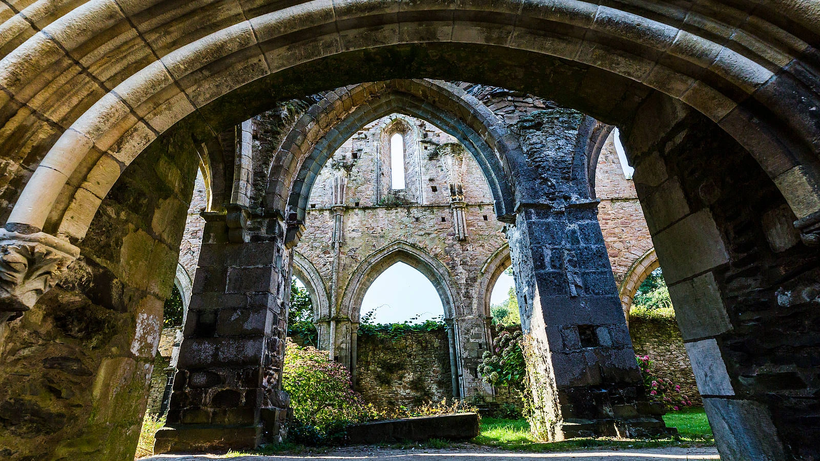 csm_CREDIT_L_Oeil_de_Paco_-_Abbaye_de_Beauport_2020__82__0d26ad9bf3 csm_CREDIT_L_Oeil_de_Paco_-_Abbaye_de_Beauport_2020__82__0d26ad9bf3